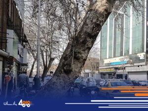باربری از خیابان امین حضور