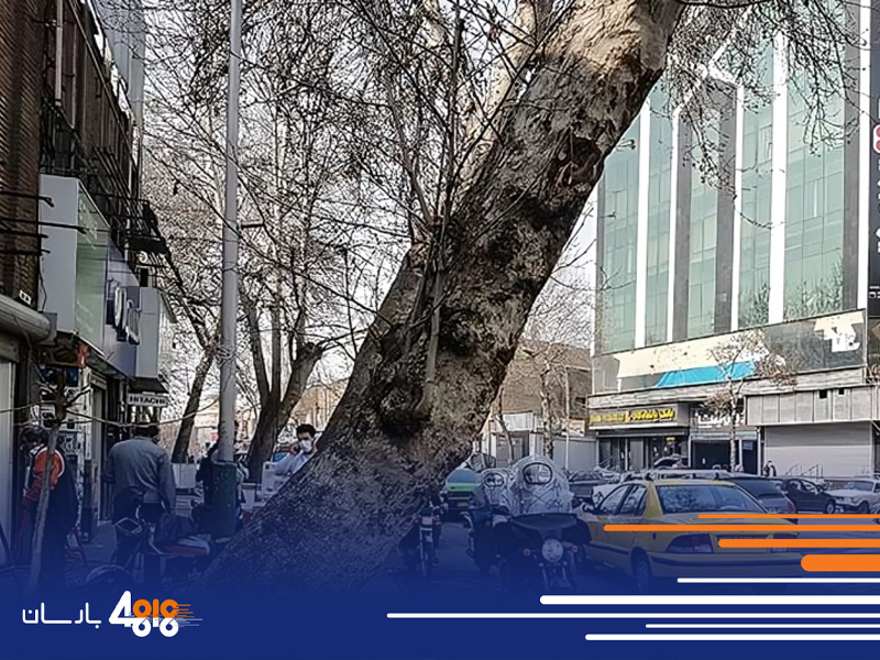 باربری از خیابان امین حضور